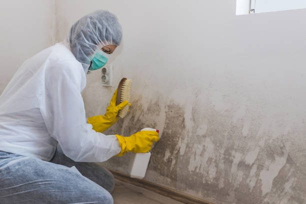 Rhinelander, WI Mold Remediation Company