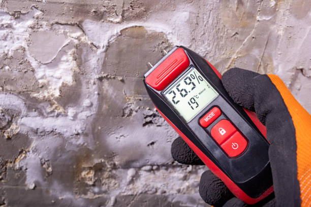 Best Commercial Mold Remediation in Rhinelander, WI
